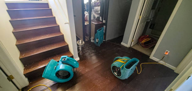 Best Emergency water damage restoration  in Lakeside, MT