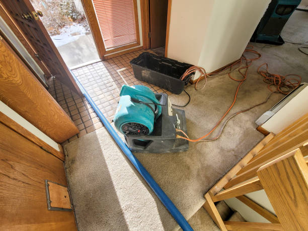 Carpet water damage restoration in MT