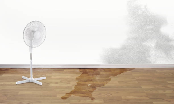 Best Flood restoration services  in Lakeside, MT