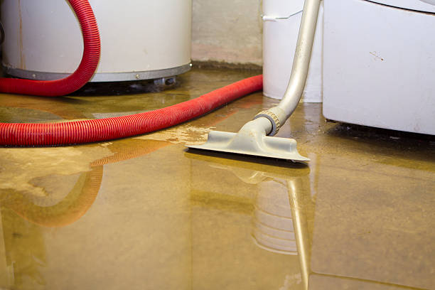 Best Water damage restoration near me  in Lakeside, MT