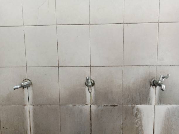 Best Carpet water damage restoration  in Lakeside, MT