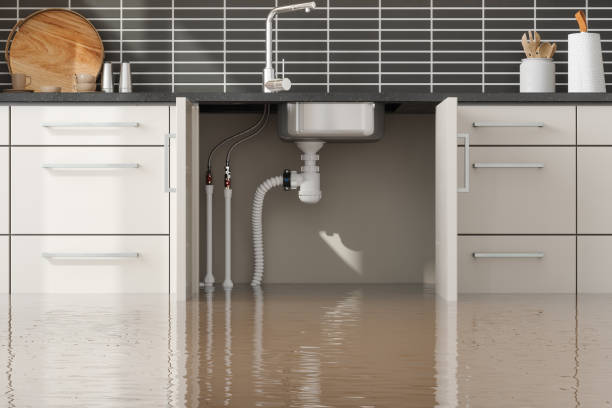 Best Water damage repair service  in Lakeside, MT