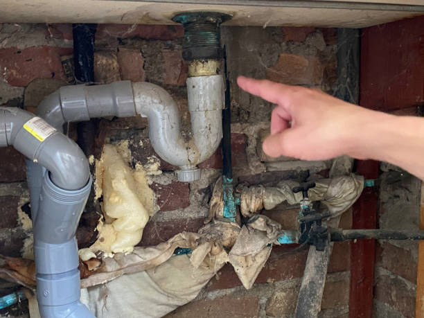 Best Sewage cleanup and water damage restoration  in Lakeside, MT