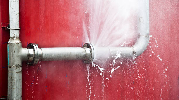 Best Local water damage restoration  in Lakeside, MT
